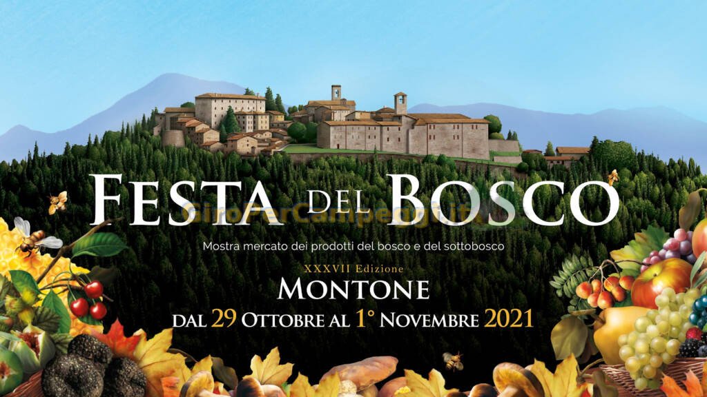 Festa del Bosco a Montone (PG)