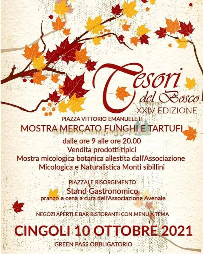 I Tesori del Bosco a Cingoli (MC) 2021