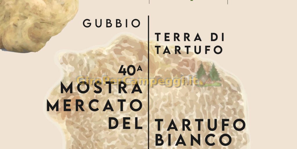 Mostra Mercato del Tartufo Bianco di gubbio (PG)