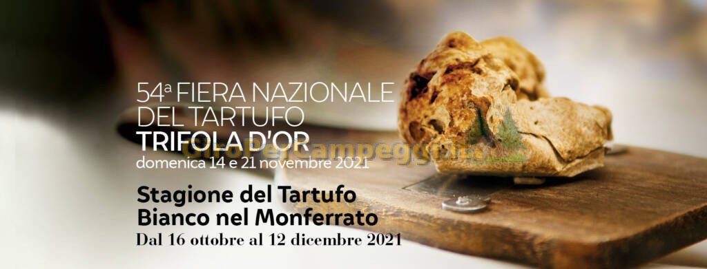 Fiera Nazionale del Tartufo Trifola d'Or a Murisengo (AL)