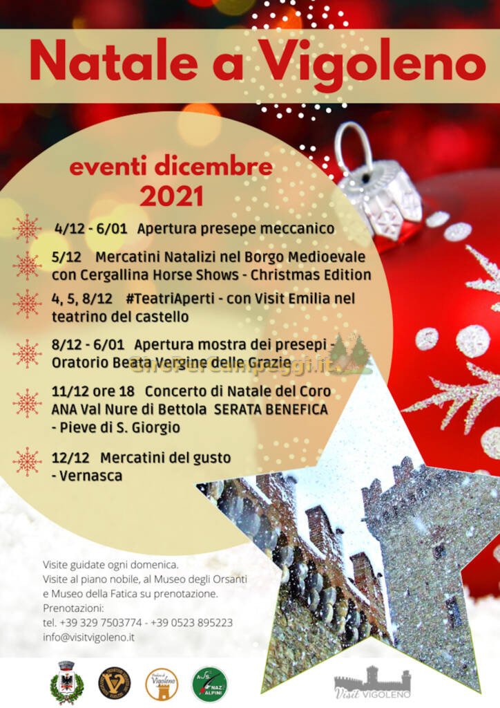 Mercatini sotto L'albero Borgo di Vigoleno (PC)