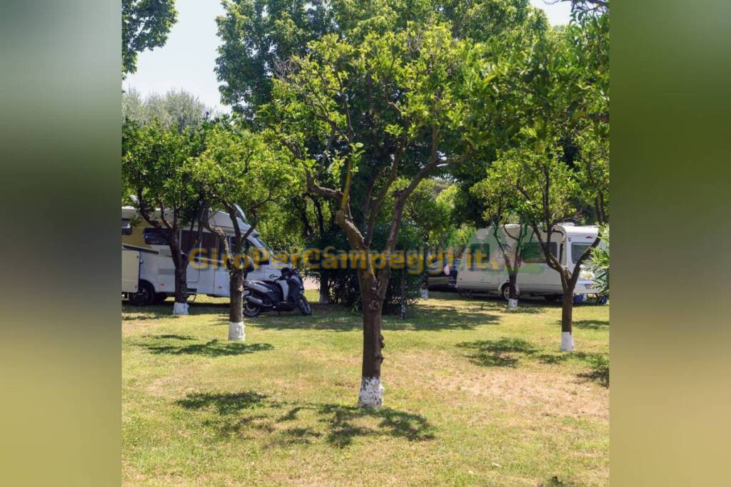 Camping Villaggio Turistico Zeus di Capaccio (SA)