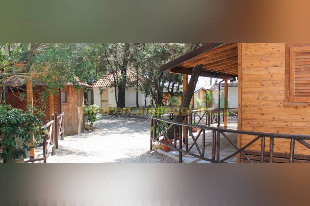 Villaggio Camping Pineta Club di Camerota (SA)