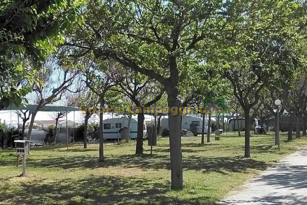 Camping Cortina di Senigallia (AN)