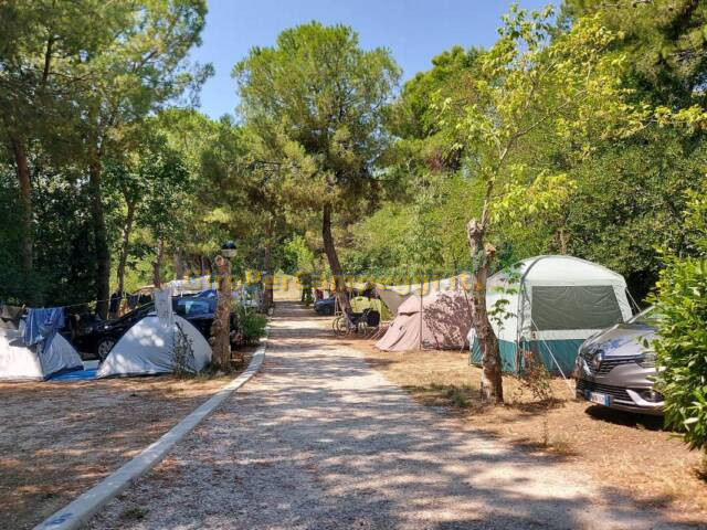Camping Paradiso di Pesaro (PU)