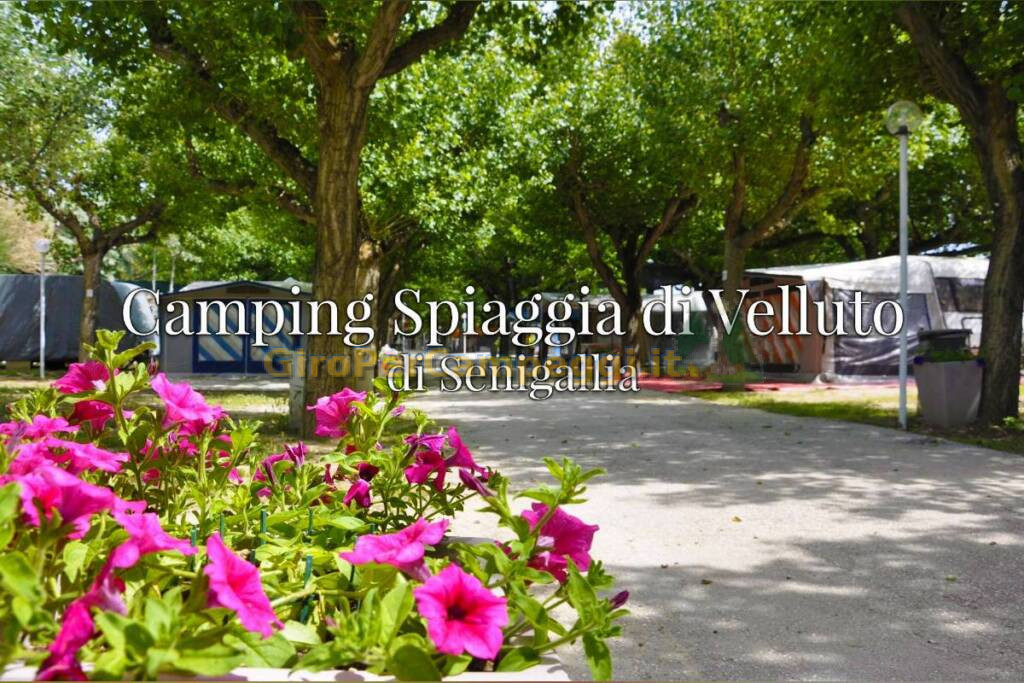 Camping Spiaggia di Velluto di Senigallia (AN)