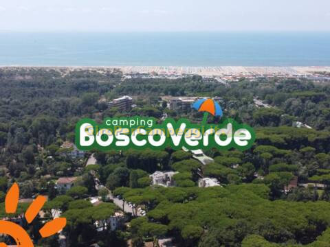 Camping Bosco Verde di Viareggio (LU)