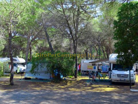 Camping La Principina di Grosseto (GR)