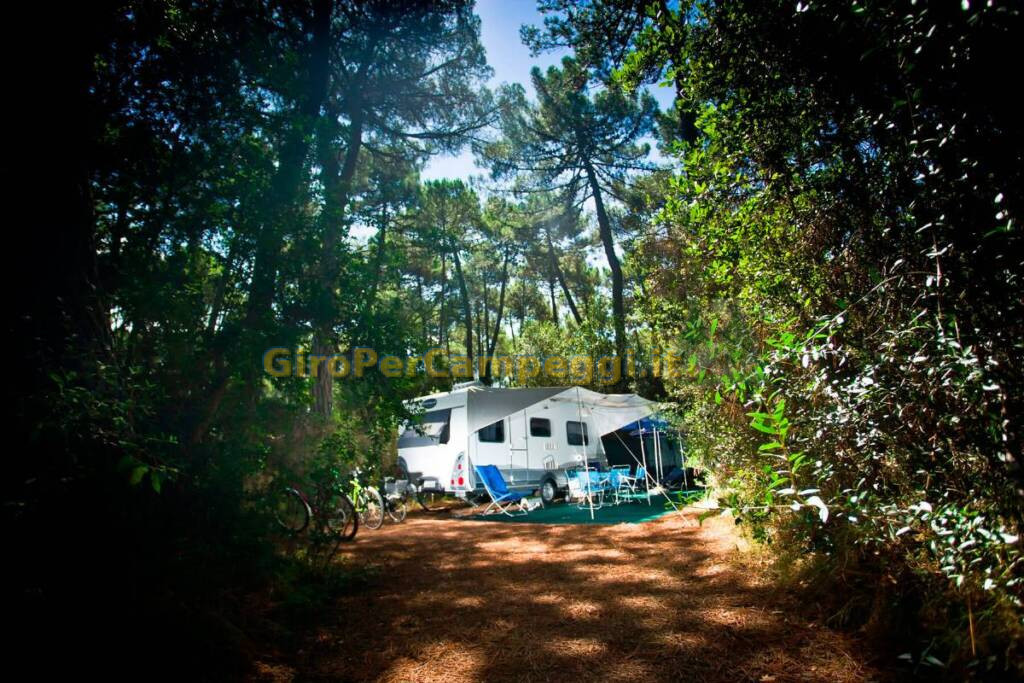 Camping Resort PuntAla di Castiglione della Pescaia (GR)