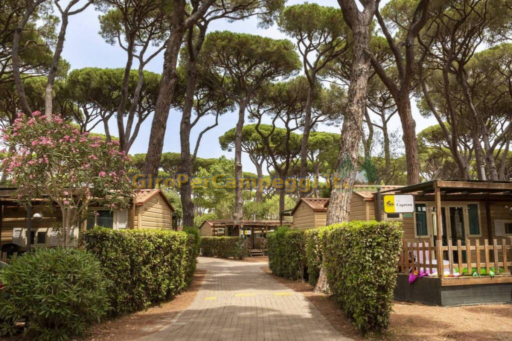 hu Park Albatros village di San Vincenzo (LI)