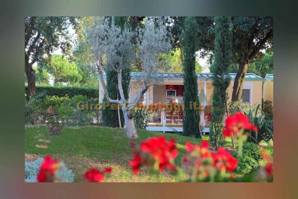 Jesolo International Club Camping (VE)