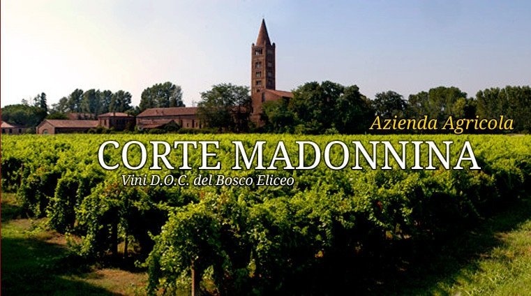 Agricampeggio Corte Madonnina di Codigoro (FE)