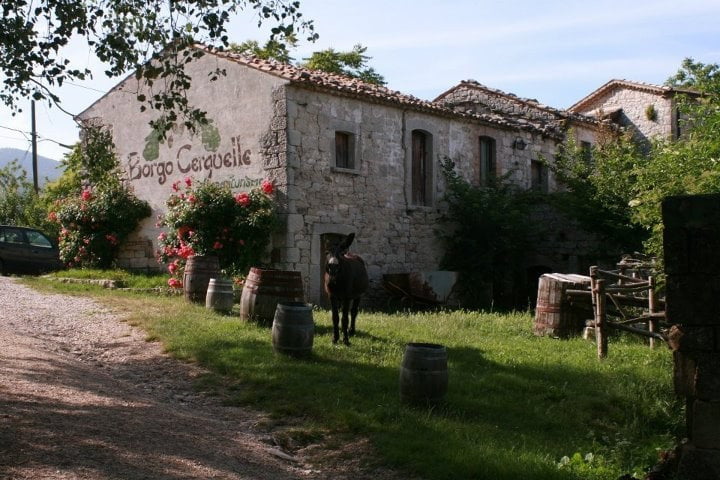 Agricampeggio Borgo Cerquelle di Pontelandolfo (BN)
