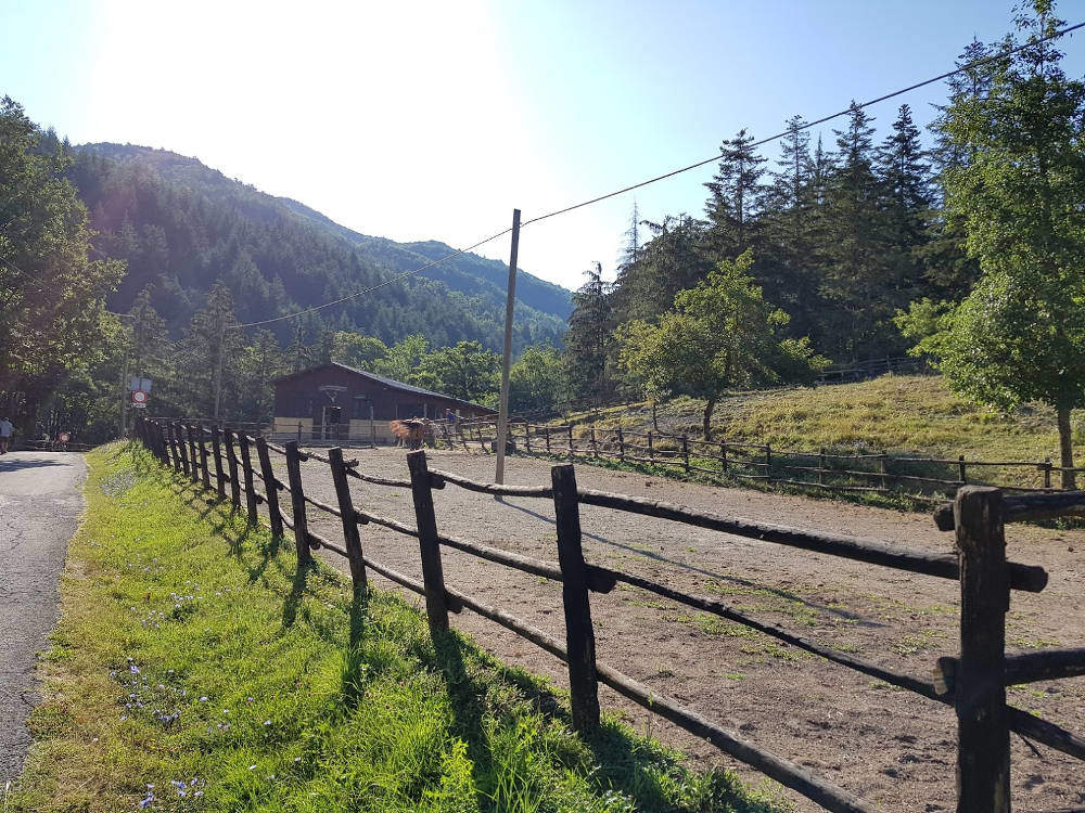 Area Camping Moscheta di Firenzuola (FI) - centro equestre