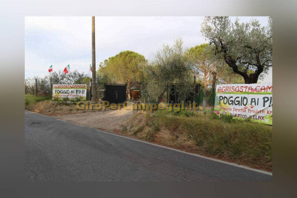 Agricampeggio Poggio ai Pini Certaldo (FI)