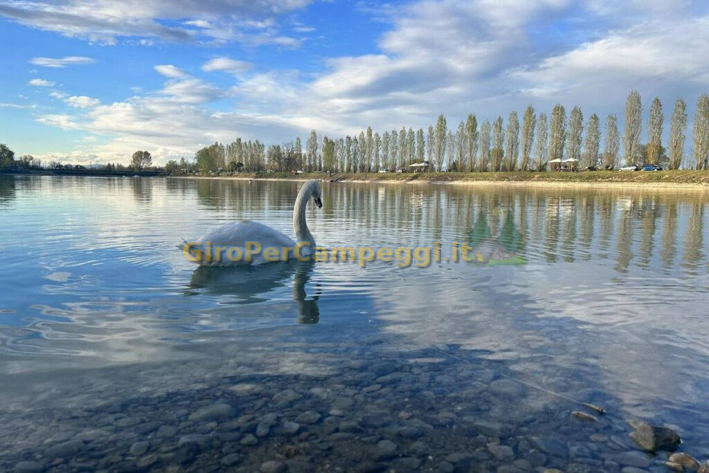 Area Sosta Camper Oasi dei Cigni di Milano (MI)