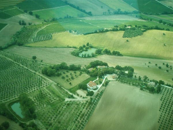 Agricampeggio Il Frutteto Del Monte Di Monte San Vito An Giro Per