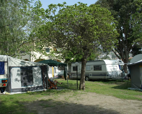Camping Delfino di Albenga (SV)